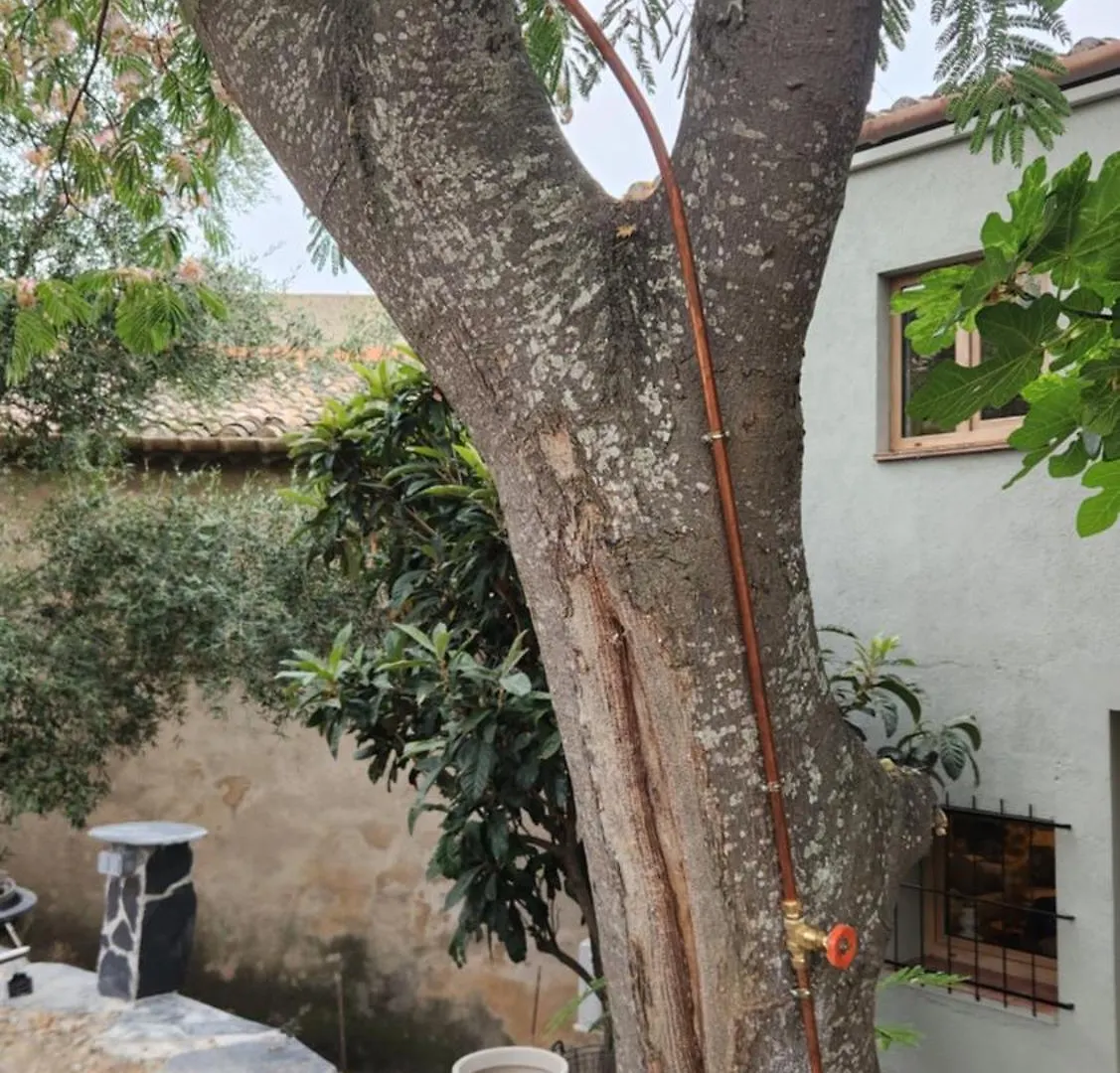 度假居 Casa Gall Espolla 西班牙